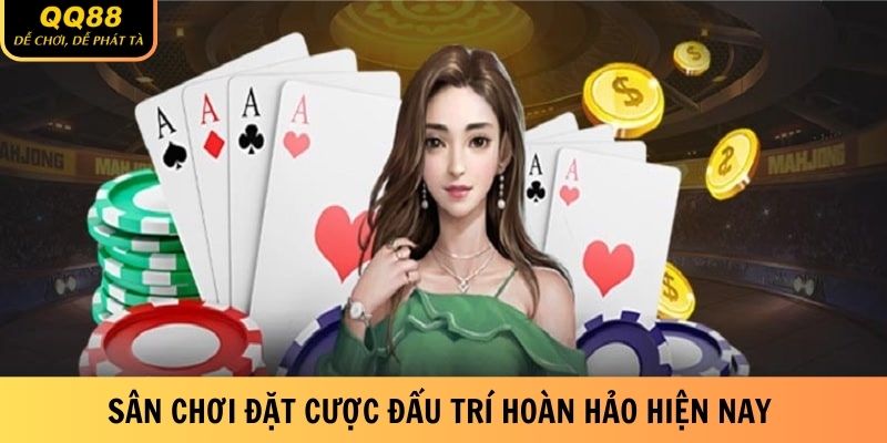 san-choi-dat-cuoc-dau-tri-hoan-hao